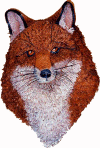 fuchs6.gif